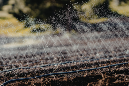 João Eustáquio De Almeida Junior analisa como a sustentabilidade hídrica na agricultura é essencial para preservar a água sem comprometer a produção.