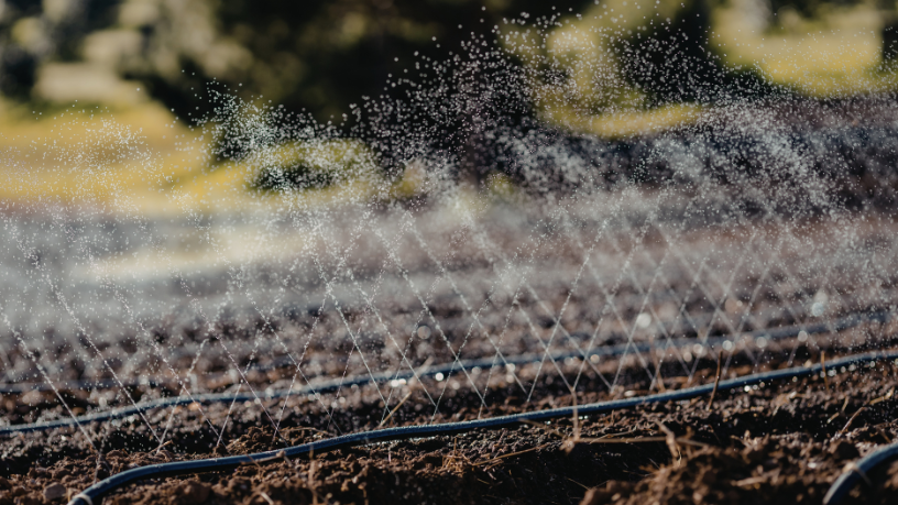 João Eustáquio De Almeida Junior analisa como a sustentabilidade hídrica na agricultura é essencial para preservar a água sem comprometer a produção.
