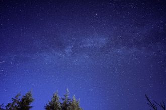 Meteoro riscando o céu estrelado acima da silhueta de uma floresta.